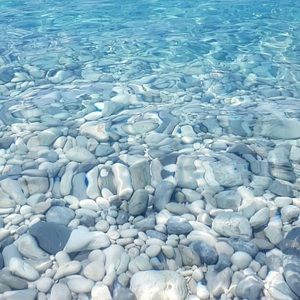 Meet your Posher, Dianne